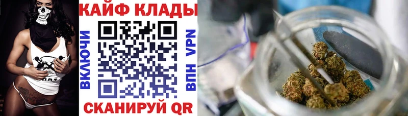 Купить закладку Новый Уренгой Бошки Шишки  КОКАИН  Гашиш  СК  АМФ  Псилоцибиновые грибы  Меф мяу мяу 