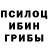 Галлюциногенные грибы Cubensis dudos,2, 3.