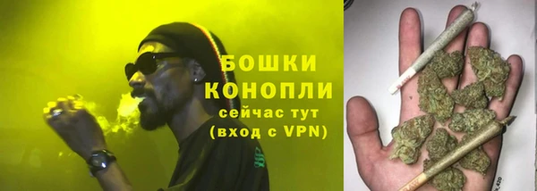 тгк Гусь-Хрустальный