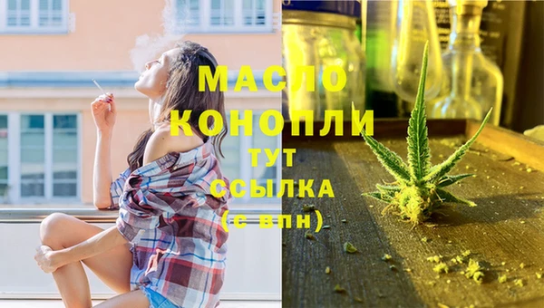 тгк Гусь-Хрустальный