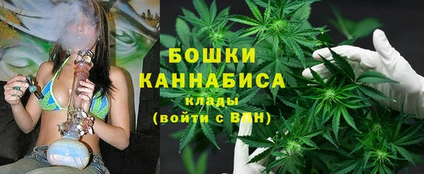 прущая мука Гусиноозёрск