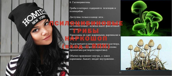 прущая мука Гусиноозёрск