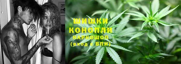 тгк Гусь-Хрустальный