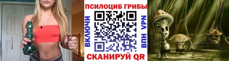 где найти   Новый Уренгой  Псилоцибиновые грибы мицелий 